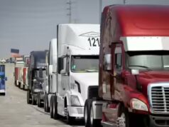 ‘Inexperienced card contratado, motoristas cidadãos dos EUA’: proprietário de uma empresa de caminhões Sikh após perder funcionários enquanto a Califórnia revogou milhares de licenças