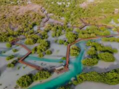 Emirados Árabes Unidos: Abu Dhabi lança a iniciativa ‘Mares Mais Ricos do Mundo’ para aumentar a densidade de peixes até 2030