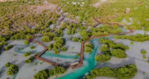 Emirados Árabes Unidos: Abu Dhabi lança a iniciativa ‘Mares Mais Ricos do Mundo’ para aumentar a densidade de peixes até 2030