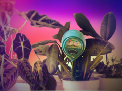 Minhas plantas de casa continuaram morrendo até que eu experimentei este dispositivo de US$ 13