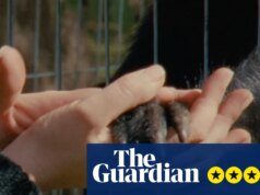 Revisão do Monólogo Coletivo – estudo sensual do zoológico coloca em primeiro plano contatos entre tratadores e criaturas