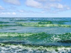 Pesquisa de algas tóxicas se torna viral no Lago Winnipeg