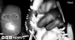 A luva encontrada parece corresponder às do vídeo do suspeito do caso Nancy Guthrie