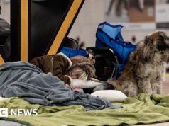 EUA querem que Rússia e Ucrânia acabem com a guerra até junho, diz Zelensky