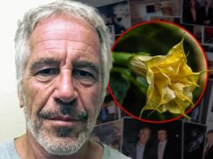 E-mails de Jeffrey Epstein referem-se a plantas tóxicas de ‘drogas zumbis’ que ele mantinha