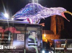 Arte lixo reflete debate sobre gaivotas no centro da cidade