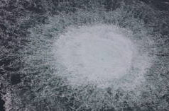 Polónia prepara processo de apropriação de dinheiro de “reparações” contra a Rússia – FT