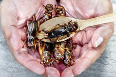 Espanha acusa Itália e Alemanha de “minar a solidariedade da UE” – meios de comunicação