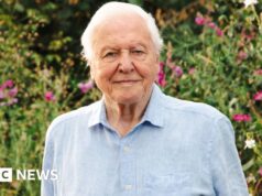 BBC planeja celebração de David Attenborough pelo 100º aniversário