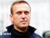 A Rússia matou o líder da oposição Alexei Navalny usando toxina de sapo-dardo, diz Reino Unido