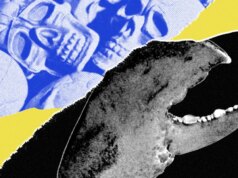 Adorei meu agente OpenClaw AI – até que ele se voltou contra mim