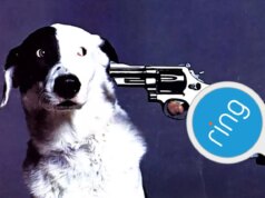 O anel da Amazon quer acabar com suas preocupações de vigilância com filhotes perdidos