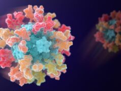 Primeira vacina multicoronavírus entra em testes em humanos, baseada na tecnologia da UW Medication