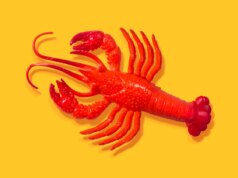 Depois de todo o hype, alguns especialistas em IA não acham que o OpenClaw seja tão empolgante