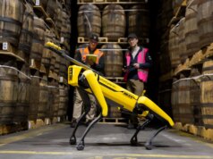 Conheça o cão-robô farejador de uísque da Escócia