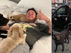 Ant McPartlin deixa o lançamento do Britain’s Bought Expertise após ‘morte devastadora’ de cachorro