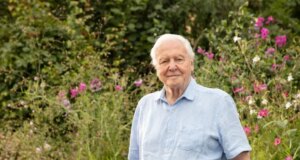 BBC anuncia grandes planos para o 100º aniversário de David Attenborough, incluindo ‘3 novos programas’