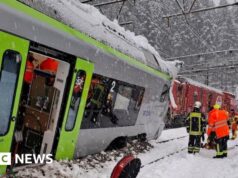 Cinco feridos em descarrilamento de trem suíço sob forte neve
