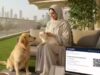 Abu Dhabi introduz regra de registro de animais de estimação, multa de Dh 1.000 para cães e gatos não registrados