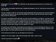 O cachorro de Lindsey Vonn morreu um dia após seu acidente nas Olimpíadas de Milão Cortina