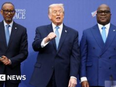 Um lugar à mesa ou no menu? África enfrenta a nova ordem mundial