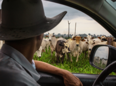 O custo deste alimento básico está chegando a níveis recordes – e os americanos não se cansam