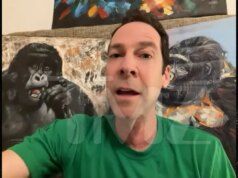 Macaco viral chamado Punch precisa de uma mãe de verdade para amá-lo, afirma especialista