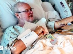 ‘Nunca bati em nada com tanta força’: como é ser atacado por um tubarão