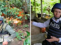 BBC na linha de frente da guerra contra as drogas na Colômbia