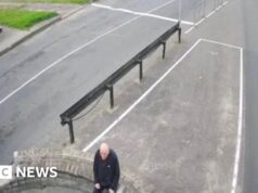 Dissidente veterano que recusou o exílio é libertado