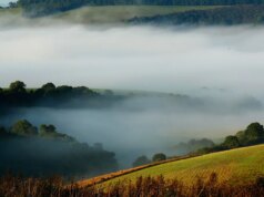 Revisão apoiada pelo governo do Reino Unido diz que os parques nacionais da Grã-Bretanha parecem “brancos” e hostis