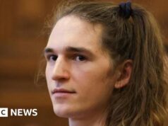 Ativista alemão preso na Hungria por ataques em comício nazista