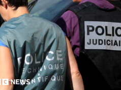 Julgamento de assassinato na França complicado por irmãos gêmeos com o mesmo DNA