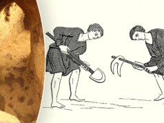 Passagem proibida? Túnel medieval secreto encontrado sob antigas sepulturas pagãs, dizem arqueólogos