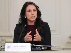 Watchdog compartilha reclamação de denunciante envolvendo Gabbard com o Congresso após atraso