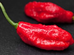 6 alimentos que até Man Fieri se recusa a comer – alguns comuns, outros bizarros