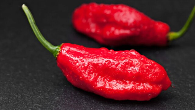 ghostpepper1.jpg