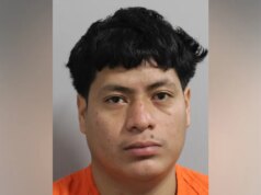 Imigrante ilegal supostamente foge após atropelamento e fuga bêbado fere motociclista: relatório