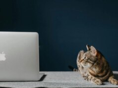 AdGuard é sua solução única para pop-ups, anúncios de reprodução automática e rastreamento on-line – agora por US$ 16