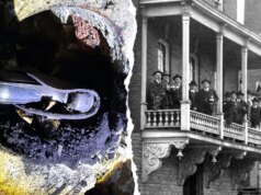 Proprietário da destilaria fica chocado com arma carregada da period Al Capone escondida na parede: ‘Aliviado por encontrá-la’