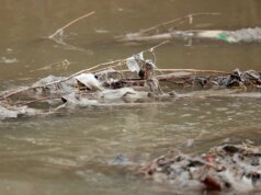 Trump critica o governador de Maryland e lança esforço federal para proteger Potomac após vazamento histórico de esgoto
