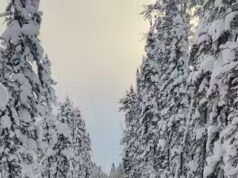 Viva a aventura em quadriciclo na região Norte de Quebec