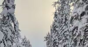 Viva a aventura em quadriciclo na região Norte de Quebec