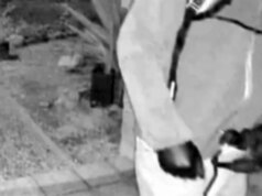 Ex-agente do FBI chama a configuração do coldre no caso Nancy Guthrie de ‘incrivelmente amadora e insegura’