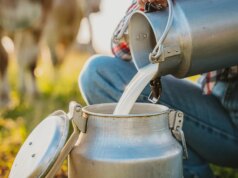 Recém-nascido no Novo México morre de infecção por Listeria depois que a mãe bebeu leite cru durante a gravidez: autoridades estaduais