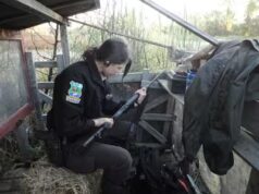 Os agentes de proteção da fauna comentam os nomes do diretor geral