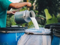 Recém-nascido no Novo México morre depois que a mãe bebeu leite cru, gerando novos avisos