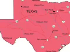 ‘Mais motivos para deportar todos os índios’: líder republicano da Flórida sobre a perda do Texas ‘por causa de um bloco eleitoral indiano’