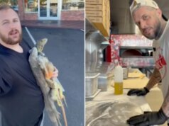 Pizza feita com carne de iguana? Vídeo viral de restaurante na Flórida desperta fascínio e fúria