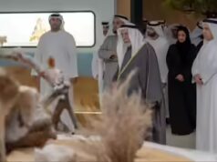O Al Dhaid Wildlife Museum é inaugurado em Sharjah: por que os turistas estão migrando para este destino incomum nos Emirados Árabes Unidos